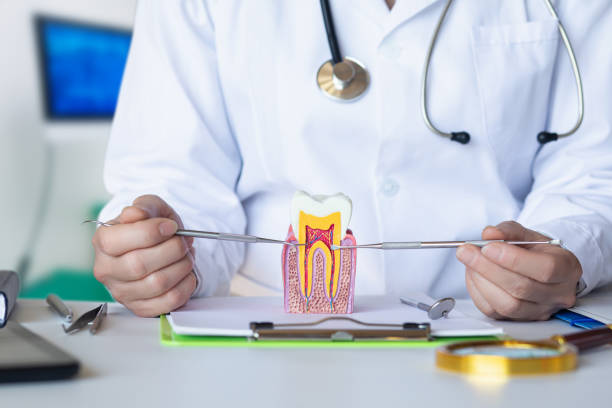 Professional Emergency Dental Service in ID